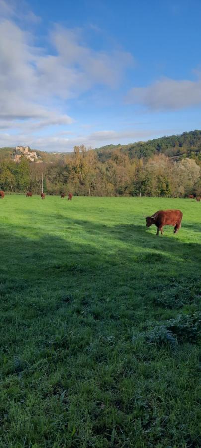 Le Cocon Beaujolais Villa Chatillon  Екстериор снимка