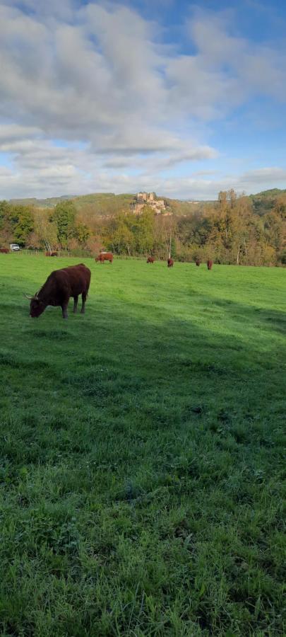 Le Cocon Beaujolais Villa Chatillon  Екстериор снимка
